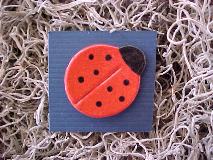 LADYBUG PIN