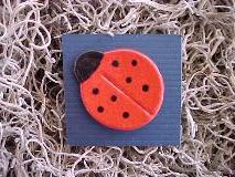 LADYBUG PIN